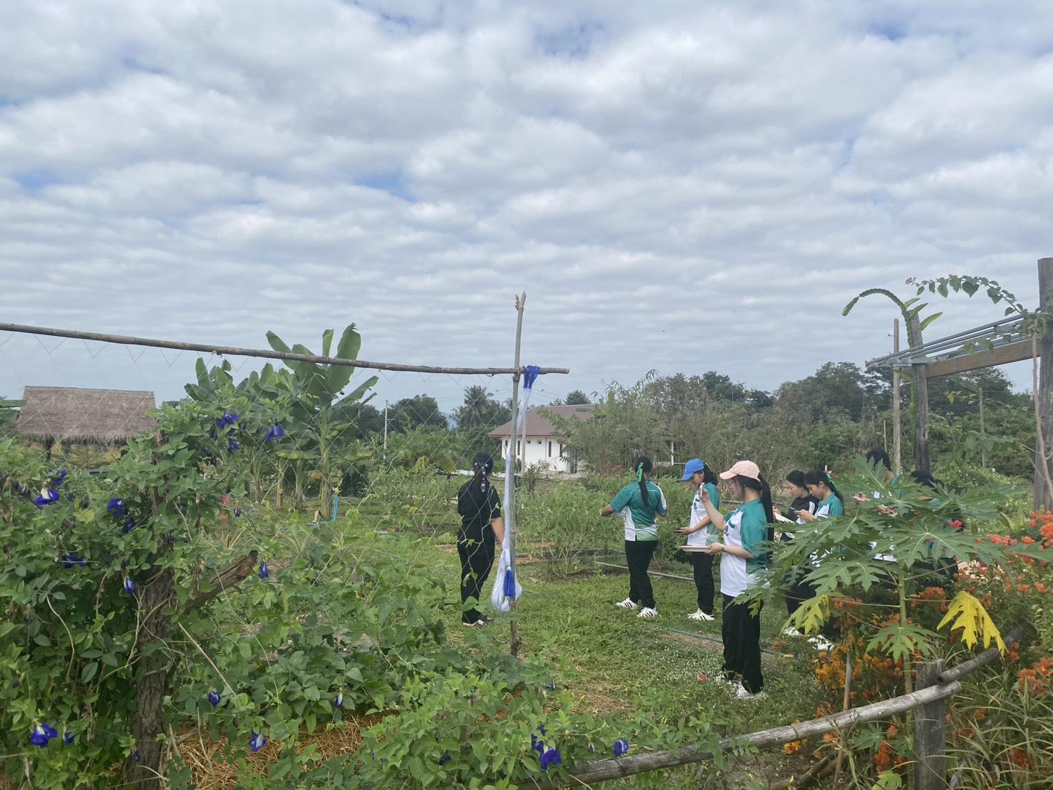 16. โครงการยกระดับและส่งเสริมนวัตกรรม สู่การพัฒนาชุมชนท้องถิ่นอย่างยั่งยืน (วิศวกรสังคม)